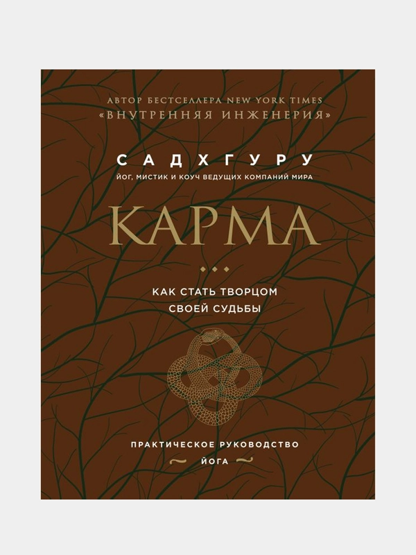 Карма. Как стать творцом своей судьбы (бизнес), Садхгуру