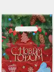 Красный пакет новогодний полиэтиленовый набор 5 шт, 10 шт, 20 х 30 см, набор, разные цвета