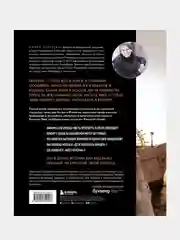Легендарные мосты. Истории и легенды о петербургских мостах, Лилия Сергеева
