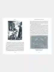Карело-финские мифы. От «Калевалы» и птицы-демиурга до чуди и саамов, Владимир Петрухин