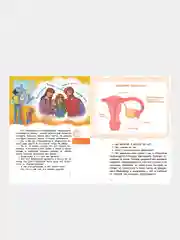 Откуда берутся дети? Детская энциклопедия (Чевостик), Татьяна Румянцева