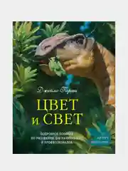 Цвет и свет, Джеймс Гарни