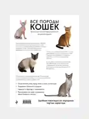 Все породы кошек. Большая иллюстрированная энциклопедия, Алина Ярощук, Людмила Романова