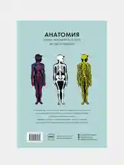 Анатомия, Элен Дрювер