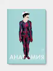 Анатомия, Элен Дрювер