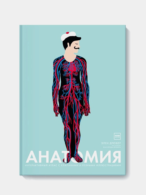 Анатомия, Элен Дрювер