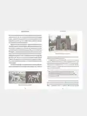 Шумерские мифы, Юлия Чмеленко