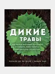 Дикие травы: как найти целебные продукты и создать собственные натуральные лекарства