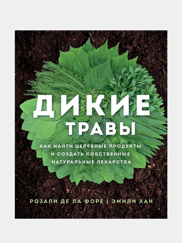 Дикие травы: как найти целебные продукты и создать собственные натуральные лекарства