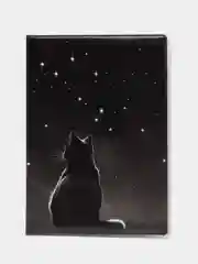 Черный обложка на паспорт