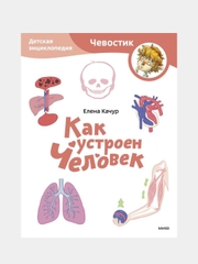 Как устроен человек. Детская энциклопедия (Чевостик) (Paperback), Елена Качур