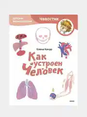 Как устроен человек. Детская энциклопедия (Чевостик) (Paperback), Елена Качур