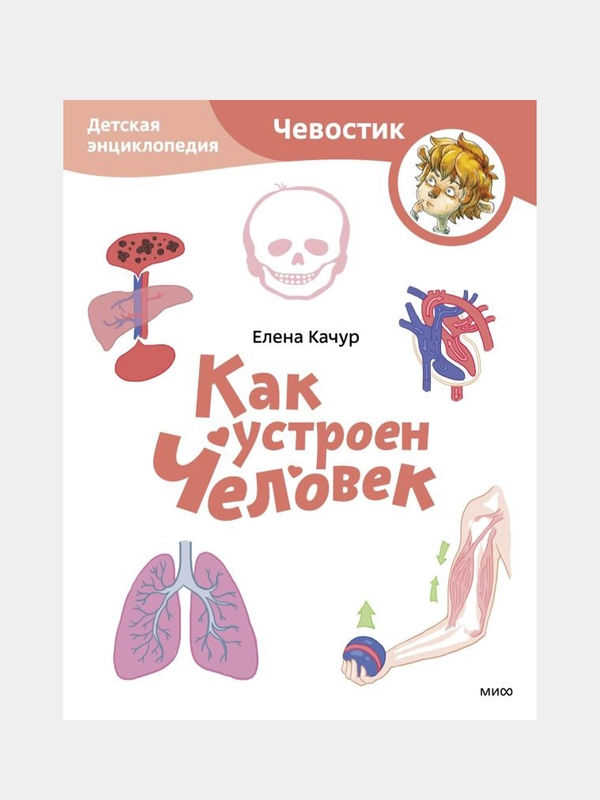 Как устроен человек. Детская энциклопедия (Чевостик) (Paperback), Елена Качур