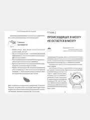 Непослушных детей не бывает, Кейт Силвертон