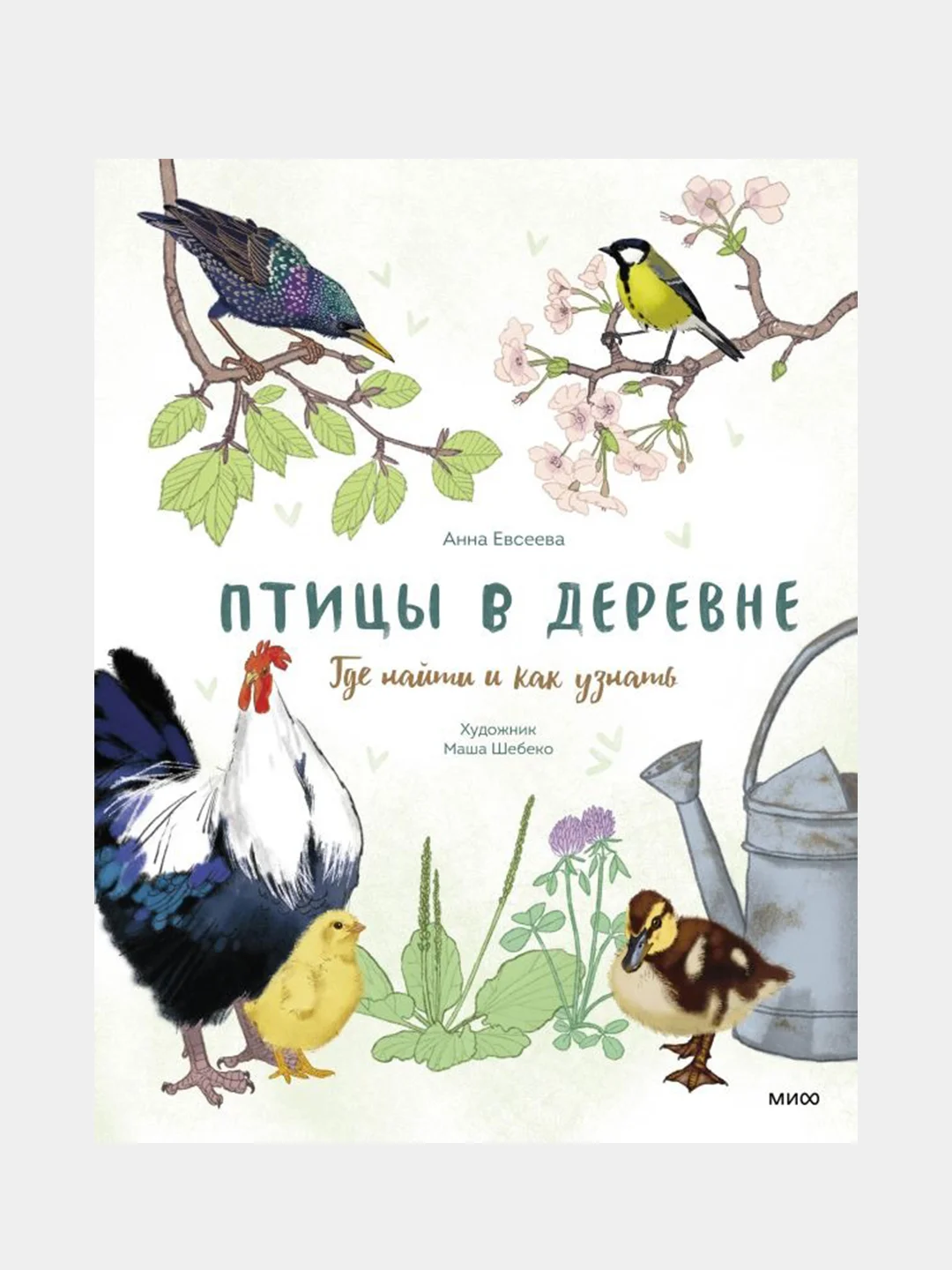 Птицы в деревне. Где найти и как узнать, Анна Евсеева, художник Маша Шебеко