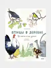 Птицы в деревне. Где найти и как узнать, Анна Евсеева, художник Маша Шебеко