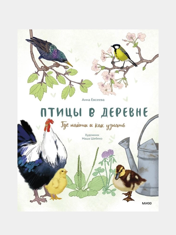 Птицы в деревне. Где найти и как узнать, Анна Евсеева, художник Маша Шебеко