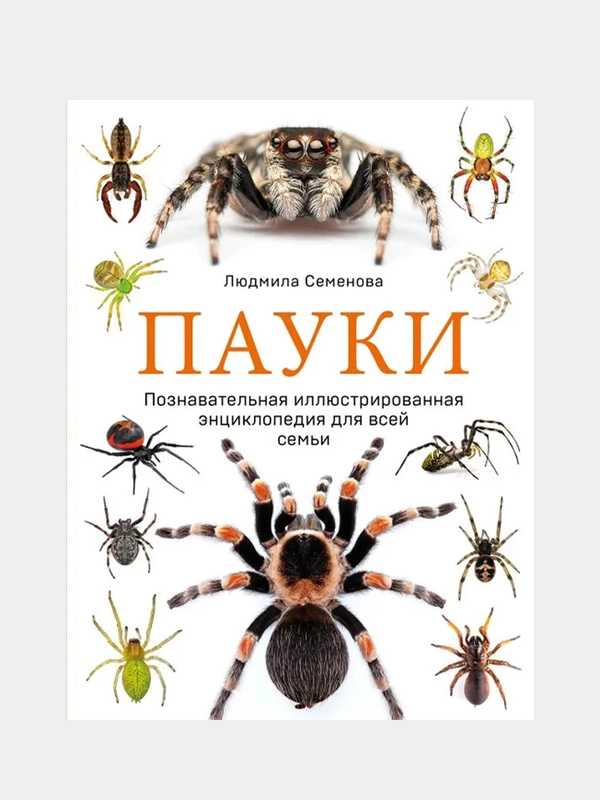 Пауки. Познавательная иллюстрированная энциклопедия для всей семьи, Людмила Семенова