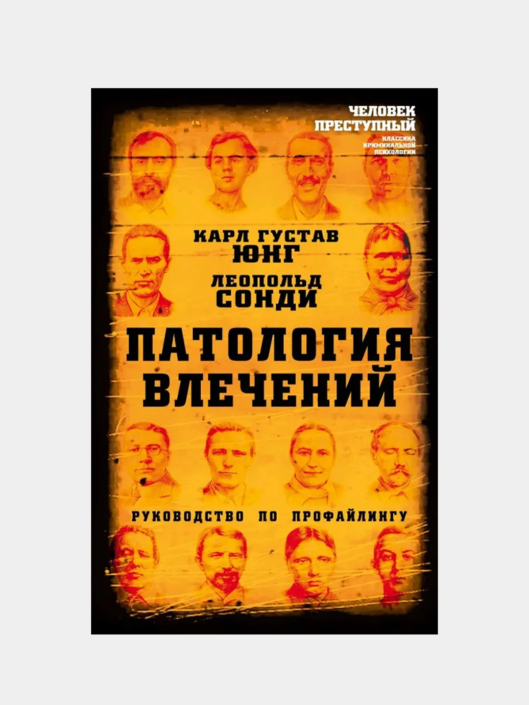 Патология влечений. Руководство по профайлингу, Карл Густав Юнг, Леопольд Сонди