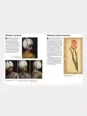 Великолепный век османского искусства. Дворцы, мечети, гаремы и ночной Босфор, Ася Гимборг