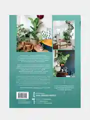 Urban Jungle, Игорь Йосифович, Джудит де Граф