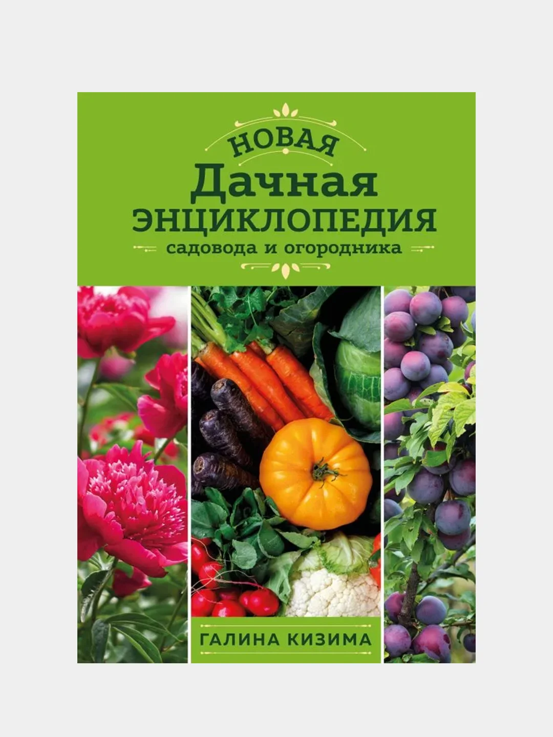 Новая дачная энциклопедия садовода и огородника (новое оформление), Галина Кизима
