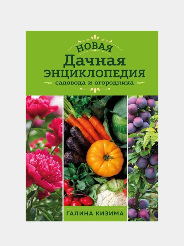 Новая дачная энциклопедия садовода и огородника (новое оформление), Галина Кизима