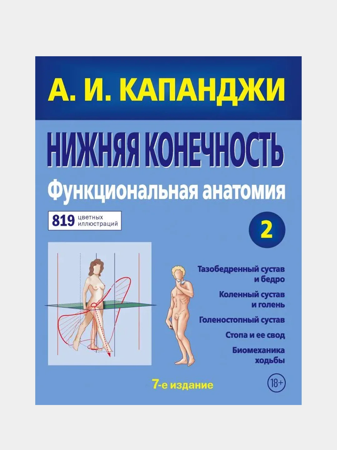 Нижняя конечность: Функциональная анатомия (обновленное издание), Адальберт Капанджи