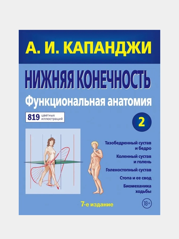 Нижняя конечность: Функциональная анатомия (обновленное издание), Адальберт Капанджи