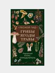 Лесной гид: грибы, ягоды, травы. Карманный атлас-определитель, Людмила Семенова