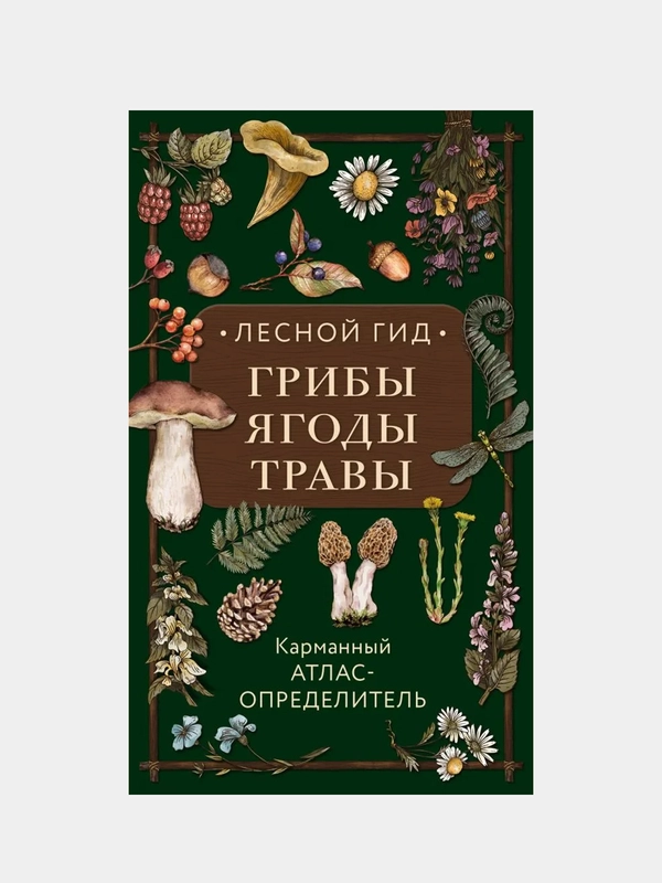 Лесной гид: грибы, ягоды, травы. Карманный атлас-определитель, Людмила Семенова