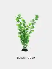 Бордовый растения декоративные для аквариума "Водоросли", 54 вида, 20-30 см