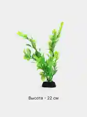 Белый растения декоративные для аквариума "Водоросли", 54 вида, 20-30 см