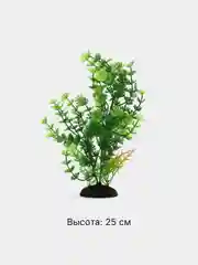 Оливковый растения декоративные для аквариума "Водоросли", 54 вида, 20-30 см