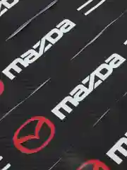 Багровый комплект защитных наклеек на пороги в автомобиль, по маркам