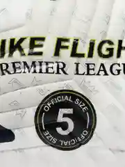 Мяч футбольный Flight, размер №5
