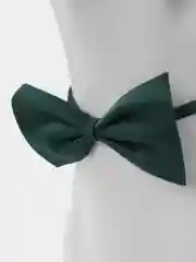 Зеленый ошейник бабочка для собак и кошек