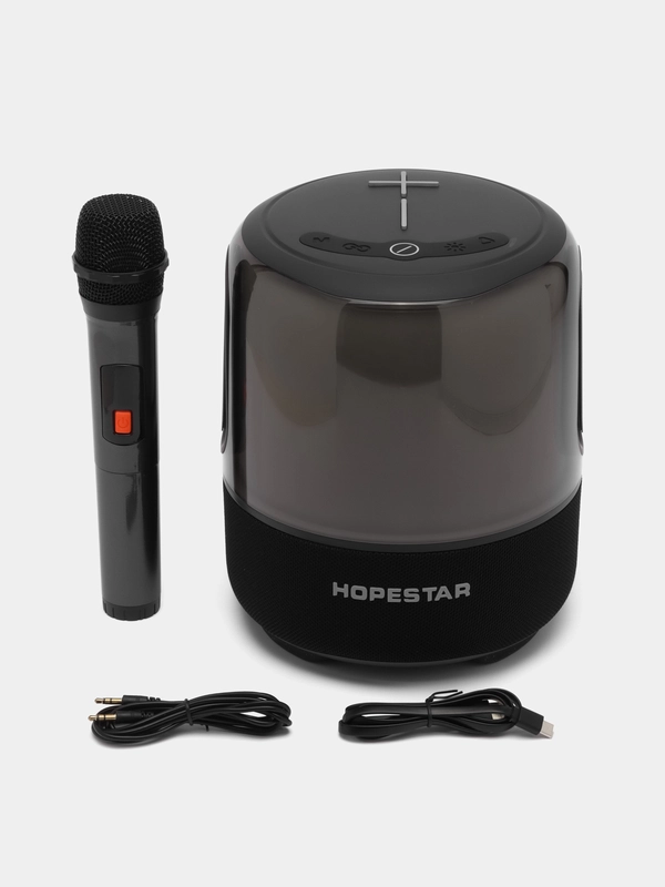 Беспроводная колонка Hopestar SC-01 60Вт