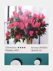 Алый алмазная мозаика 40*50 см, 20*30см и 30*40см