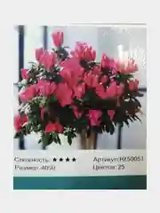 Алый алмазная мозаика 40*50 см, 20*30см и 30*40см