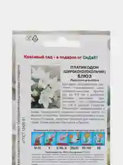 Платикодон "Блюз" белый, 0,1 г, СеДеК