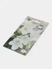 Платикодон "Блюз" белый, 0,1 г, СеДеК