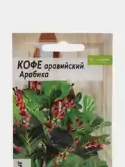 Кофе аравийский "Арабика", 5 шт, Семена Алтая