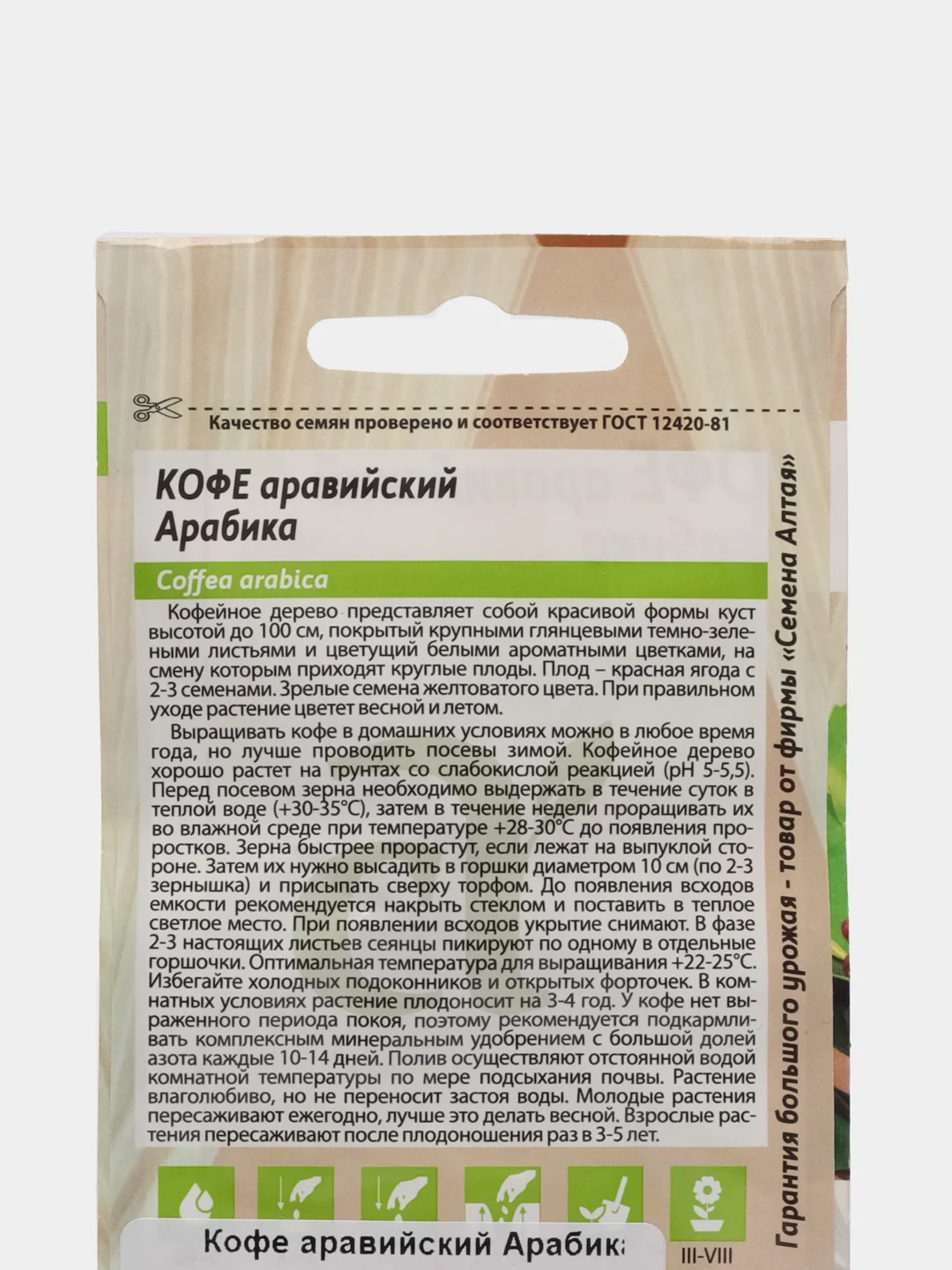 Кофе аравийский "Арабика", 5 шт, Семена Алтая