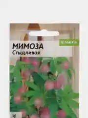 Мимоза Стыдливая, 0,2 г, Семена Алтая