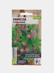Мимоза Стыдливая, 0,2 г, Семена Алтая