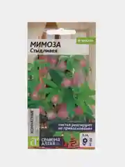 Мимоза Стыдливая, 0,2 г, Семена Алтая
