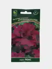 Петуния Дабл каскад бургунди махровая, 10 штук, Поиск