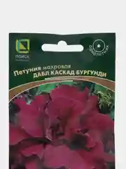 Петуния Дабл каскад бургунди махровая, 10 штук, Поиск