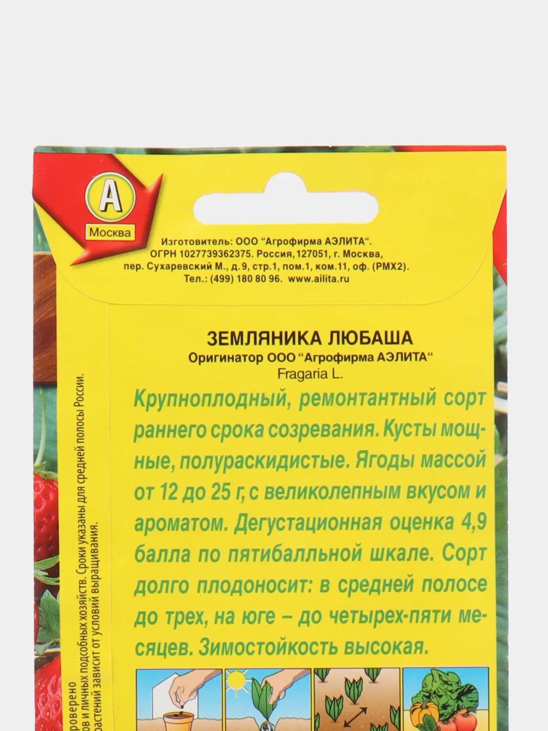 Земляника ремонтантная Любаша, 10 шт, Аэлита